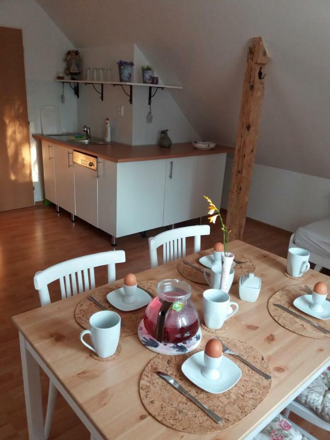 Apartmany F-M Frydek-Mistek Exterior photo